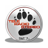 Tele Radio Stereo radio