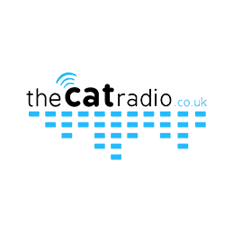 The Cat 1251 radio