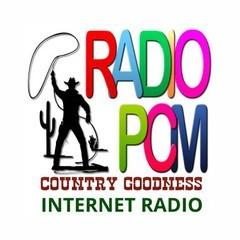 Radio PCM radio