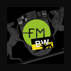 egoFM Baden-Württemberg radio