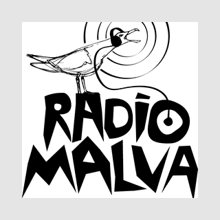 Radio Malva 104.9 FM radio