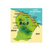 bls guyane