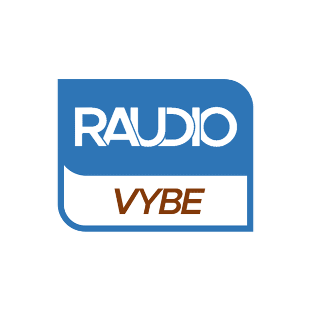 Raudio VYBE radio