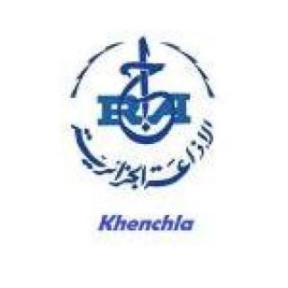 Radio Khenchela