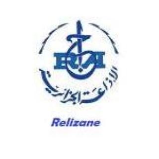 Radio Relizane