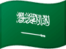 Saudi Arabia country